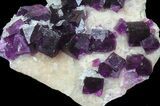 Dark Purple Cubic Fluorite on Quartz - Exceptional! #39004-1